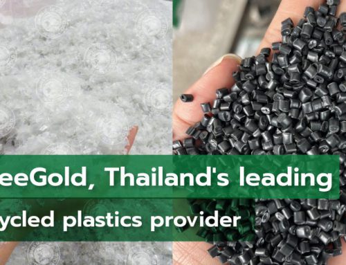 InseeGold, Thailand’s leading recycled plastics provider