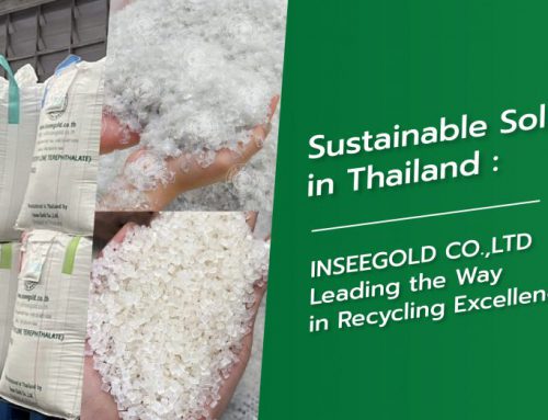 Sustainable Solutions in Thailand: INSEEGOLD CO.,LTD Leading the Way in Recycling Excellence