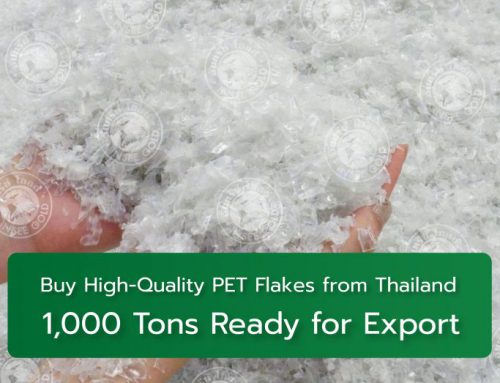 Buy High-Quality PET Flakes from Thailand – 1,000 Tons Ready for Export