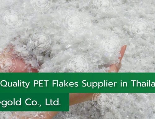 High-Quality PET Flakes Supplier in Thailand – Inseegold Co., Ltd.
