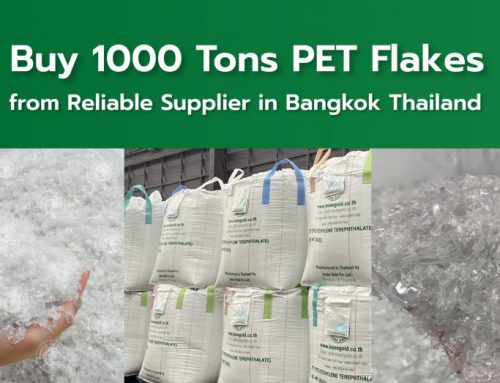 Buy 1000 Tons PET Flakes from Reliable Supplier in Bangkok Thailand