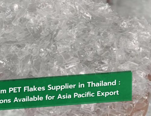 Premium PET Flakes Supplier in Thailand: 1,000 Tons Available for Asia Pacific Export