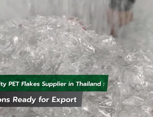 High-Quality PET Flakes Supplier in Thailand: 1,000 Tons Ready for Export