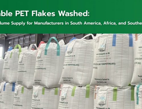 Reliable PET Flakes Washed High-Volume Supply for Manufacturers in South America, Africa and Southeast Asia