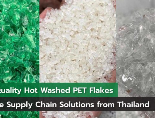 High-Quality Hot Washed PET Flakes Reliable Supply Chain Solutions from Thailand
