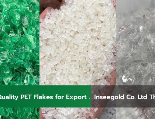 High-Quality PET Flakes for Export | Inseegold Co. Ltd Thailand