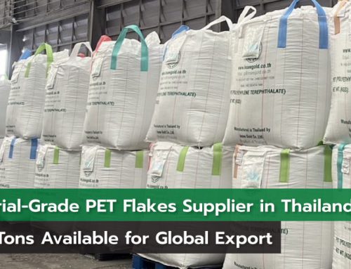 Industrial-Grade PET Flakes Supplier in Thailand. 1,000 Tons Available for Global Export